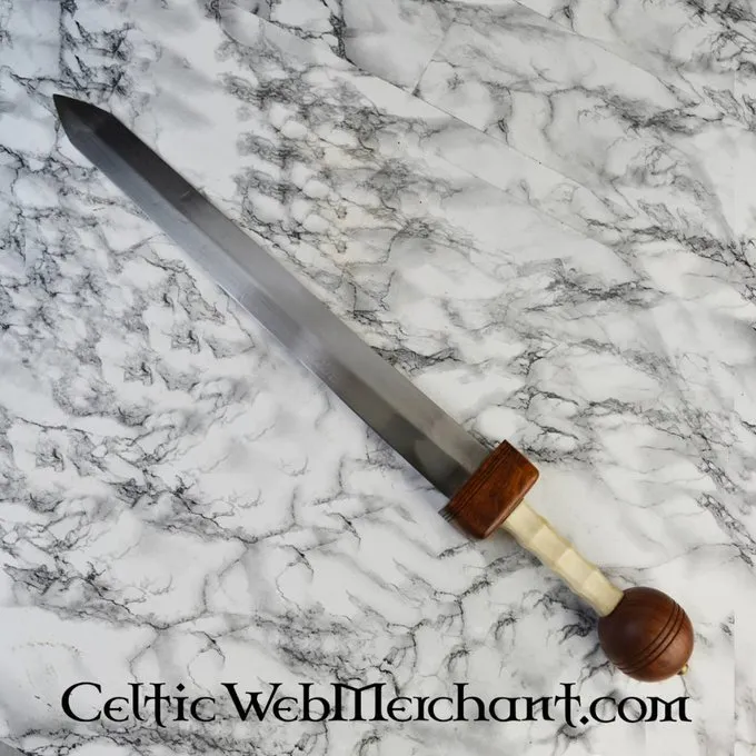 Deepeeka Gladius Marius 6 Deepeeka Gladius Marius – Bild 4