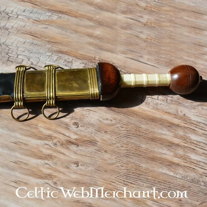 Gladius Noviomagus 7 Gladius Noviomagus – Bild 5